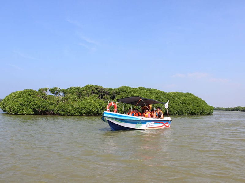 Muthurajawela Boat Trip